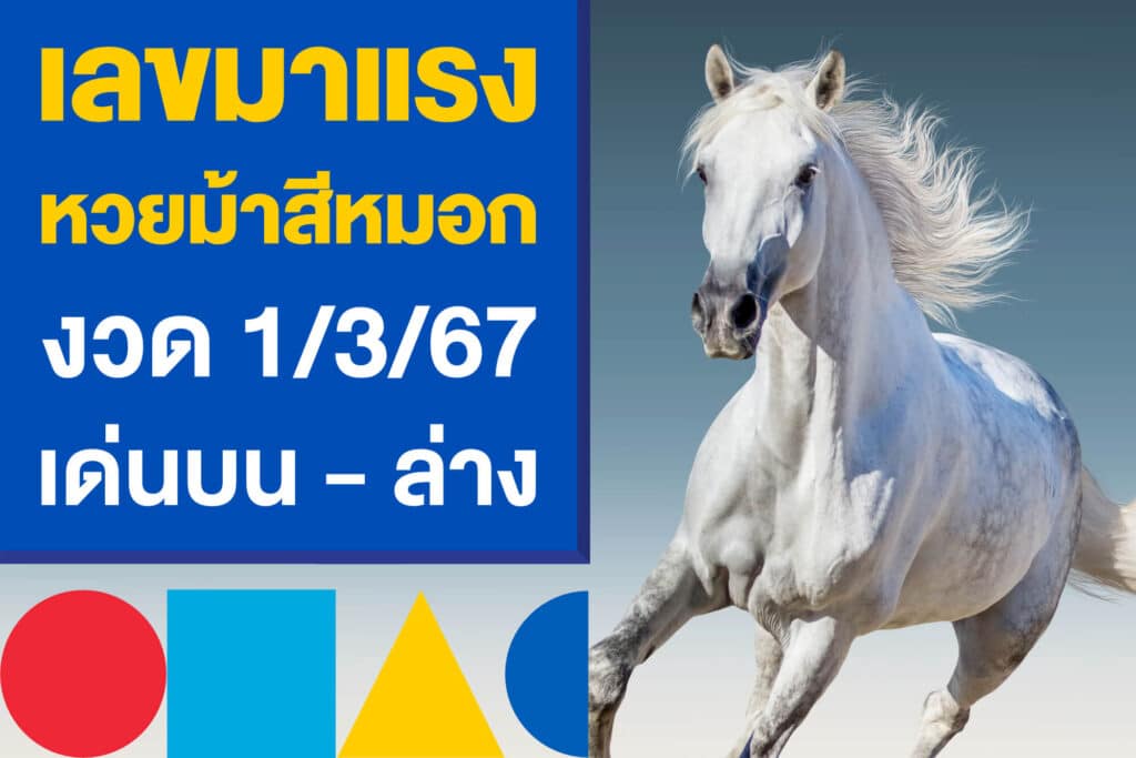 เลขมาแรง หวยม้าสีหมอก 1/3/67 เด่นบน - ล่าง หวยรัฐบาลไทย