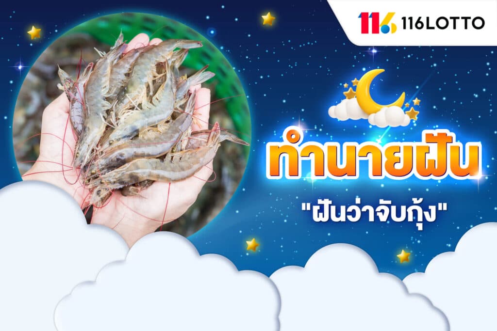 ฝันว่าจับกุ้ง รวมคำทำนายความฝัน พร้อมแนะนำเลขเด็ด เมื่อฝันเห็นกุ้ง