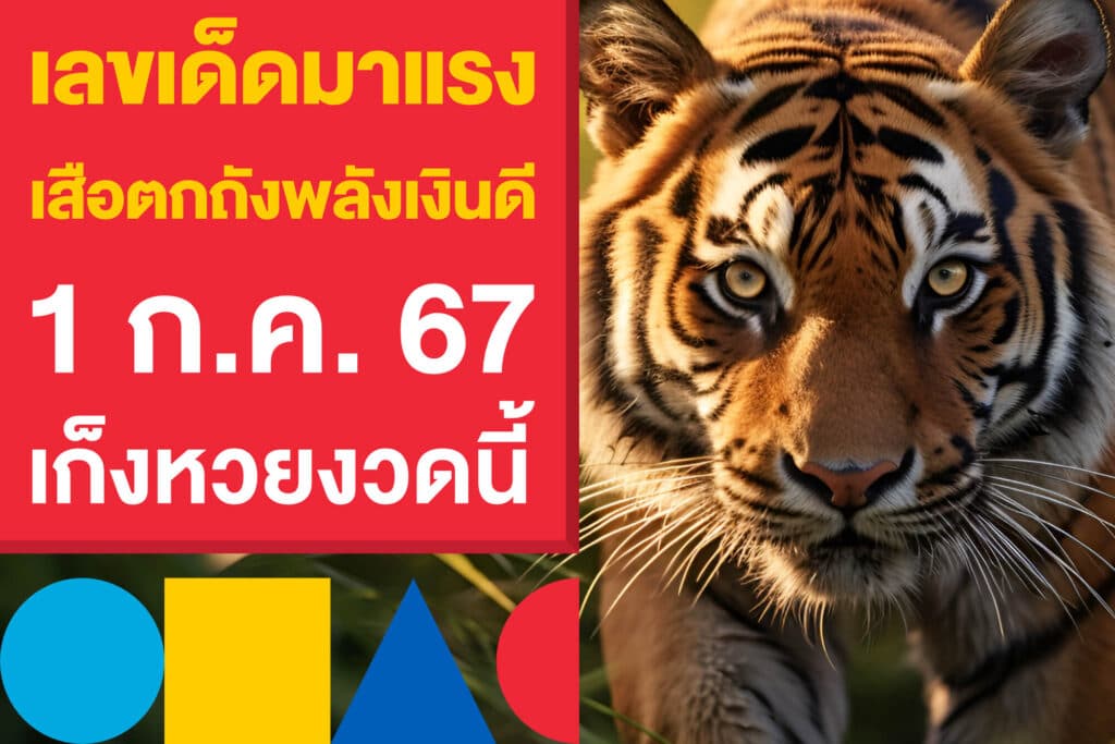 เลขเด็ดมาแรง เสือตกถังพลังเงินดี 1 ก.ค. 67 แนวทางเก็งหวยงวดนี้