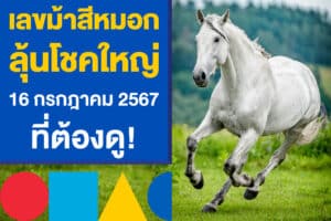 เลขม้าสีหมอก ลุ้นโชคใหญ่ หวยงวด 16 กรกฎาคม 2567 ที่ต้องดู!